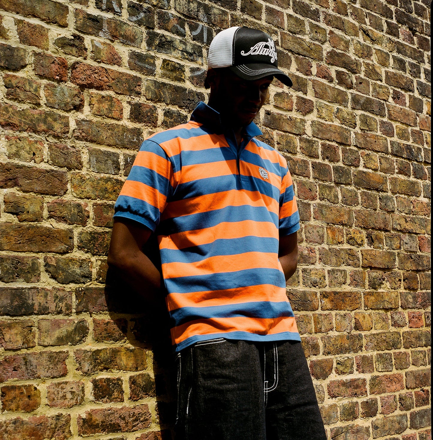 educated polo - college drop out