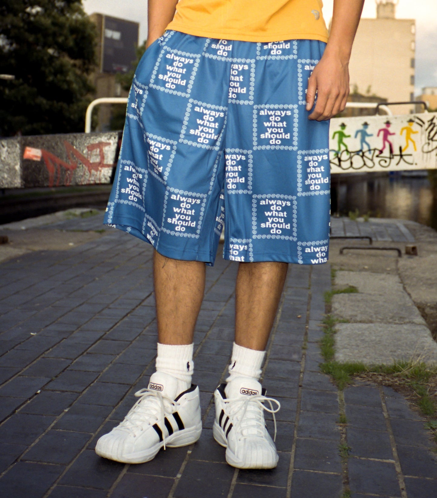 adwysd grid short - blue