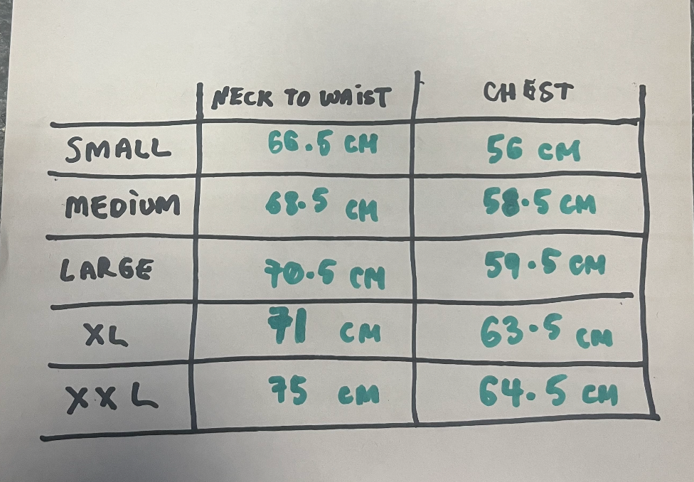 green plaid button up shirt - purple label