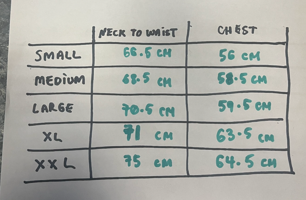 red plaid button up shirt - purple label