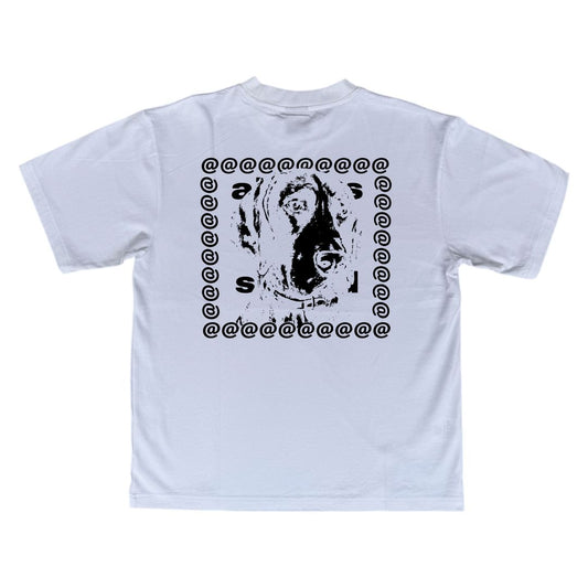 big dogs tshirt - white