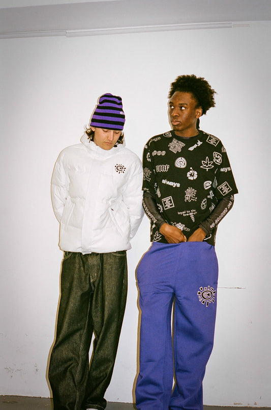 reversible cuff beanie - purple / black