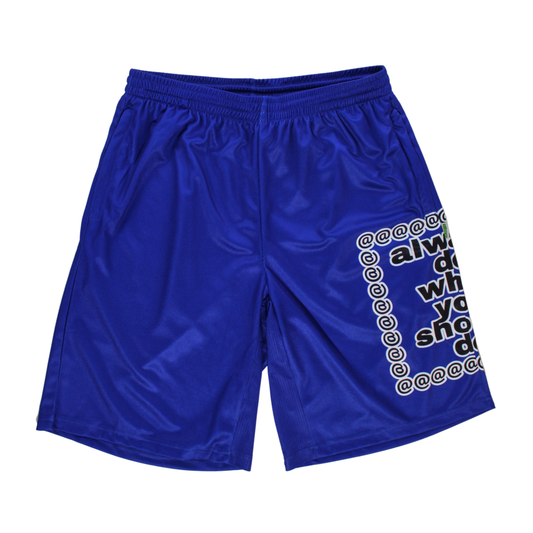 big adwysd court short royal blue