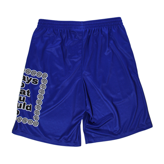 big adwysd court short royal blue