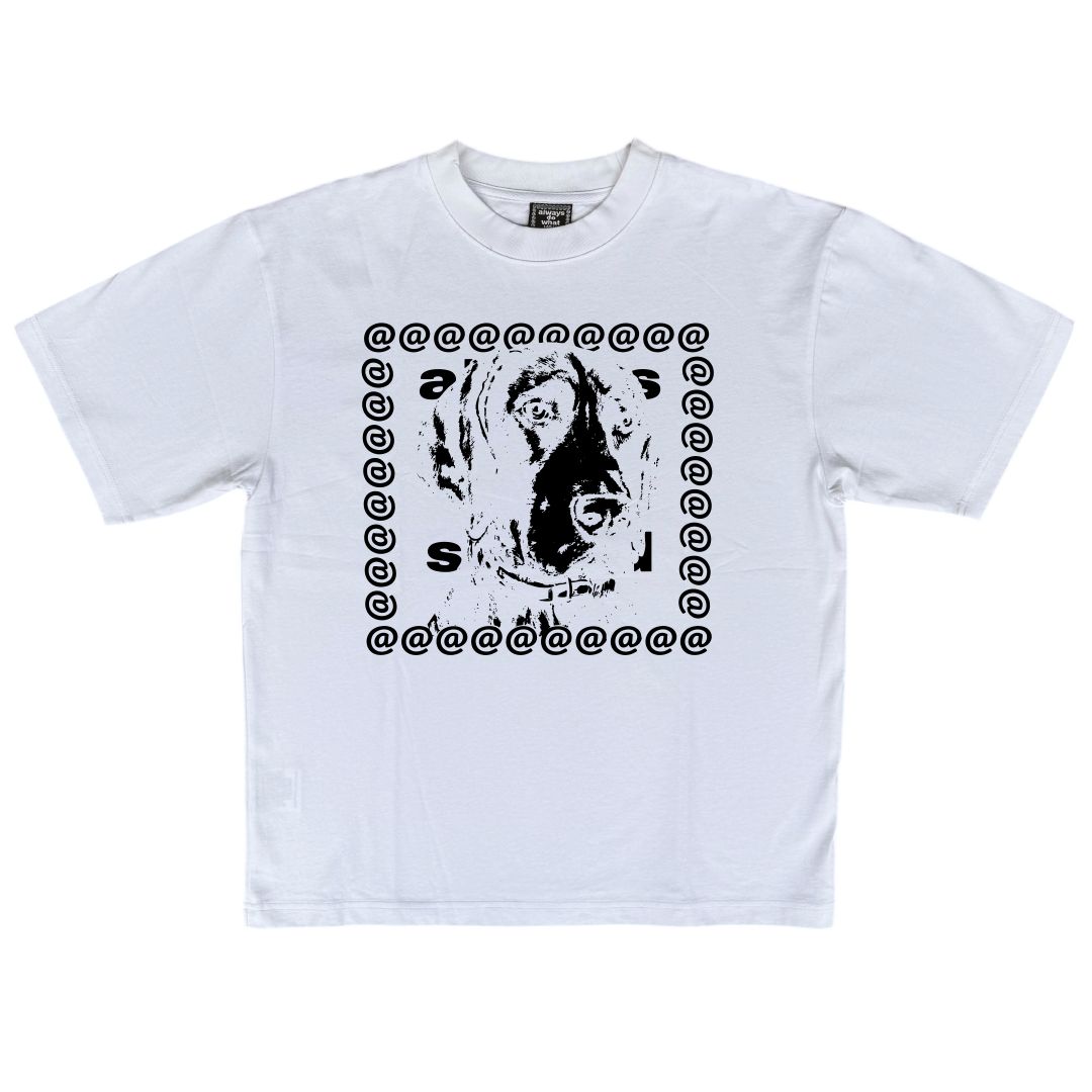 big dogs tshirt - white