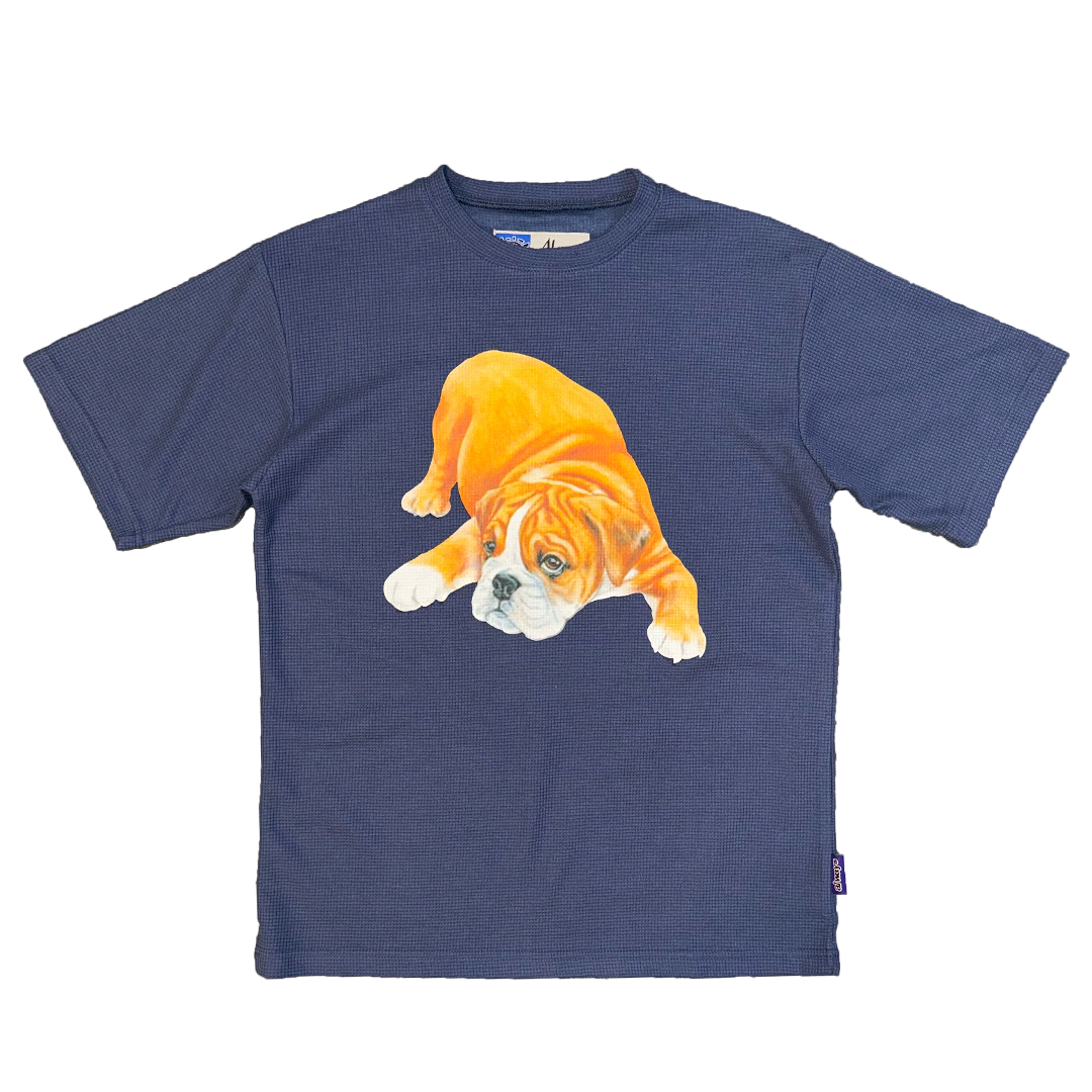 5th year anniversary bulldog tshirt - blue