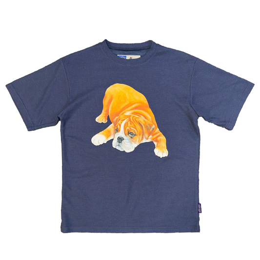 5th year anniversary bulldog tshirt - blue