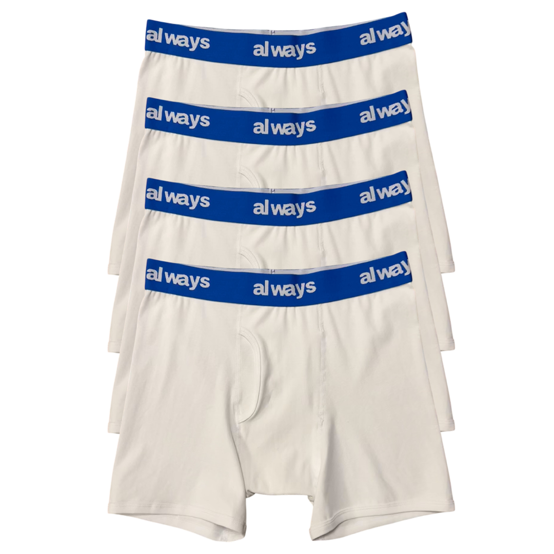 4pack cozy cotton briefs - blue band