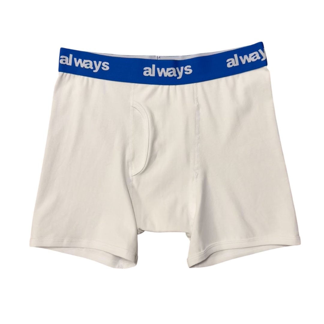 4pack cozy cotton briefs - blue band