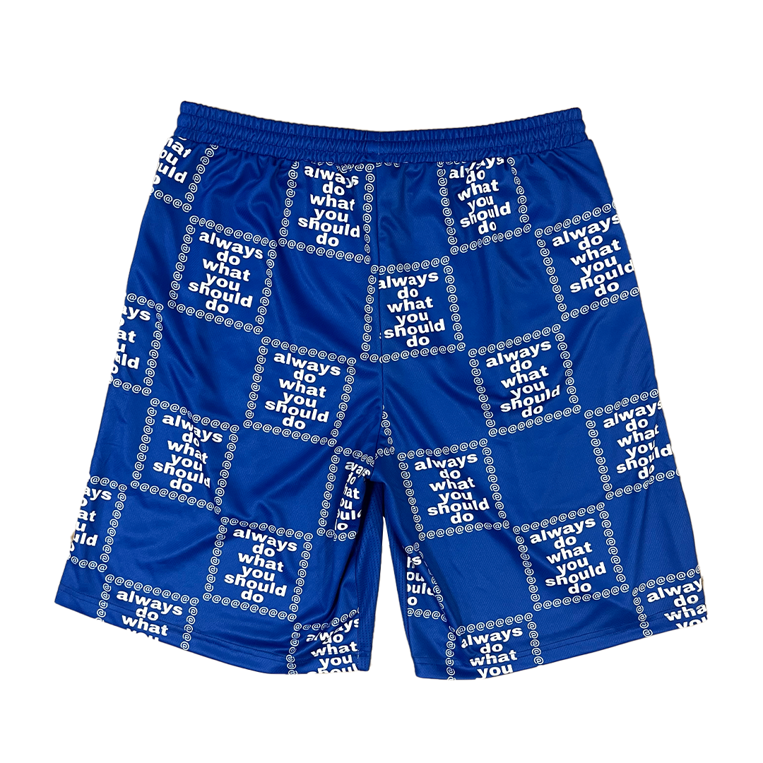 adwysd grid short - blue