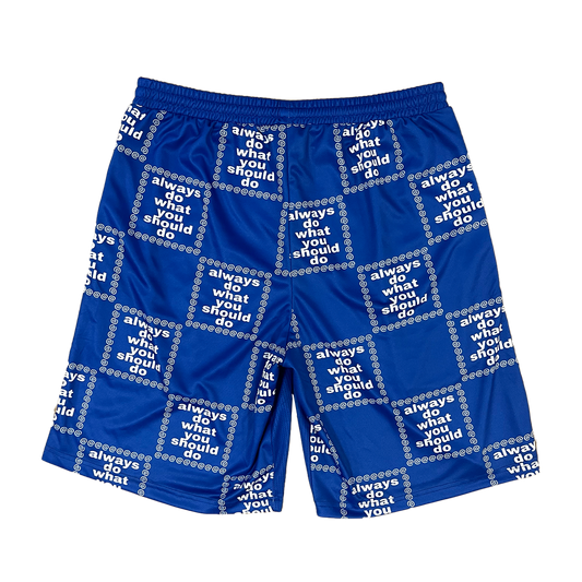 adwysd grid short - blue