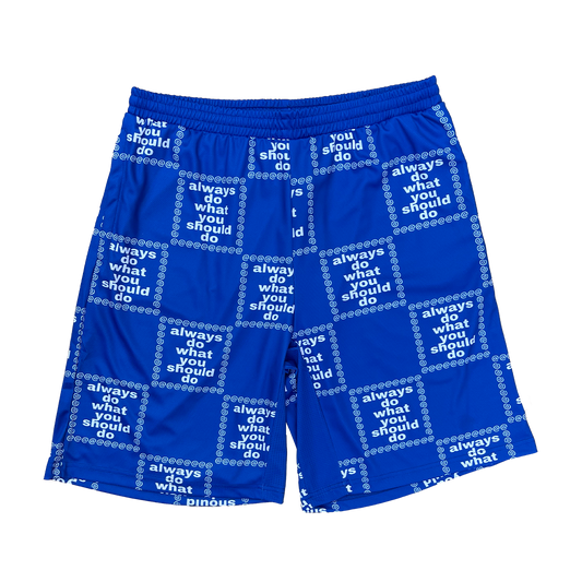 adwysd grid short - blue