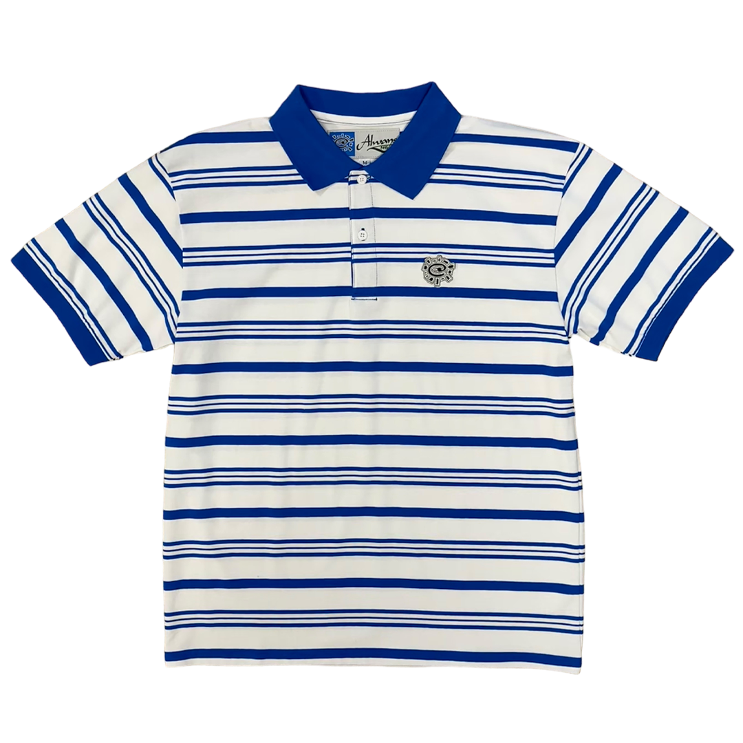 educated polo - blue stripe