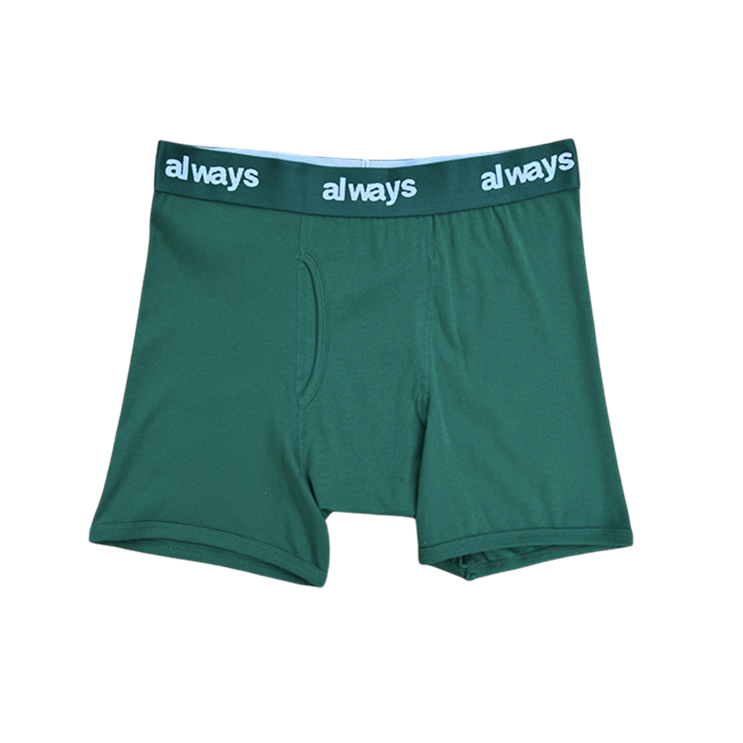 4pack cotton briefs - green