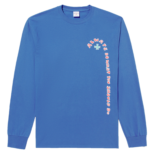 noah x adwysd longsleeve tshirt -blue