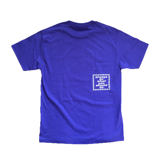 reading sun t-shirt purple