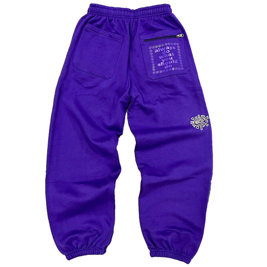 rel@xed embroidered purple jogger
