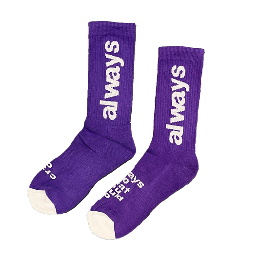 always up - purple / white